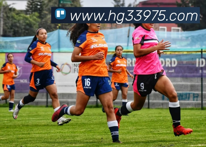 皇冠体育网站入口平台生态图